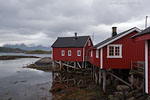 Lofoten