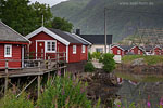 Lofoten