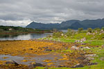 Lofoten