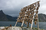 Lofoten