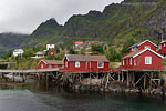 Lofoten