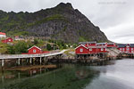 Lofoten