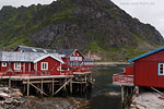 Lofoten