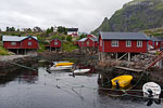 Lofoten