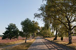 Lneburger Heide