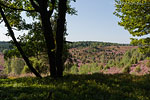 Lneburger Heide