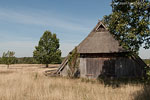 Lneburger Heide