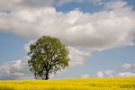Momente in Bewegung