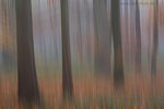 Momente in Bewegung