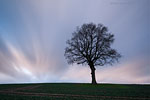 Momente in Bewegung