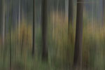 Momente in Bewegung