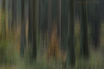 Momente in Bewegung