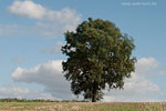 Momente in Bewegung