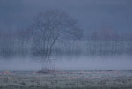 Lichtstimmungen
