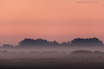 Lichtstimmungen