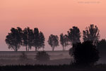Lichtstimmungen