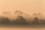 Lichtstimmungen