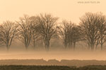 Lichtstimmungen