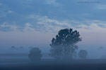 Lichtstimmungen