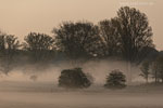 Lichtstimmungen