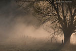 Lichtstimmungen