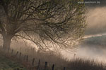 Lichtstimmungen