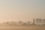 Lichtstimmungen