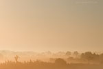 Lichtstimmungen