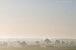 Lichtstimmungen