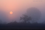Lichtstimmungen