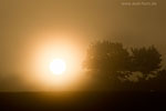 Lichtstimmungen