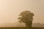 Lichtstimmungen