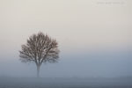 Lichtstimmungen
