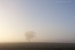 Lichtstimmungen