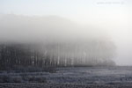 Lichtstimmungen