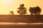 Lichtstimmungen