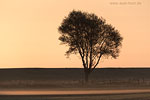 Lichtstimmungen