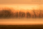 Lichtstimmungen