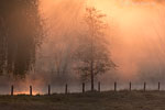 Lichtstimmungen