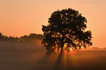 Lichtstimmungen