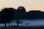 Lichtstimmungen