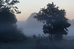 Lichtstimmungen
