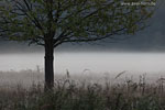 Lichtstimmungen