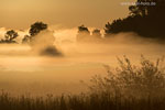 Lichtstimmungen