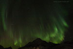 Polarlicht / Nordlys - Norwegen