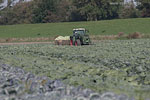 Schleswig-Holsteinische Westkste