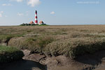 Schleswig-Holsteinische Westkste
