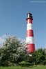 Schleswig-Holsteinische Westkste
