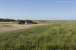 Schleswig-Holsteinische Westkste
