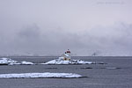 Norwegen - Vesterlen/Fyr